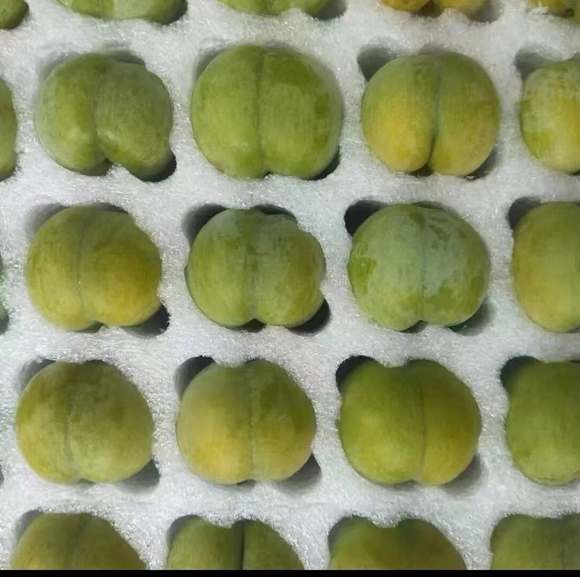 秋天有好“李” 開州晚熟李新鮮上市！