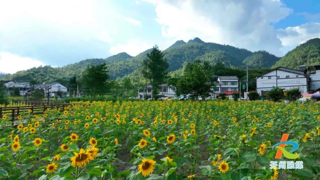 微信圖片_20230812184329