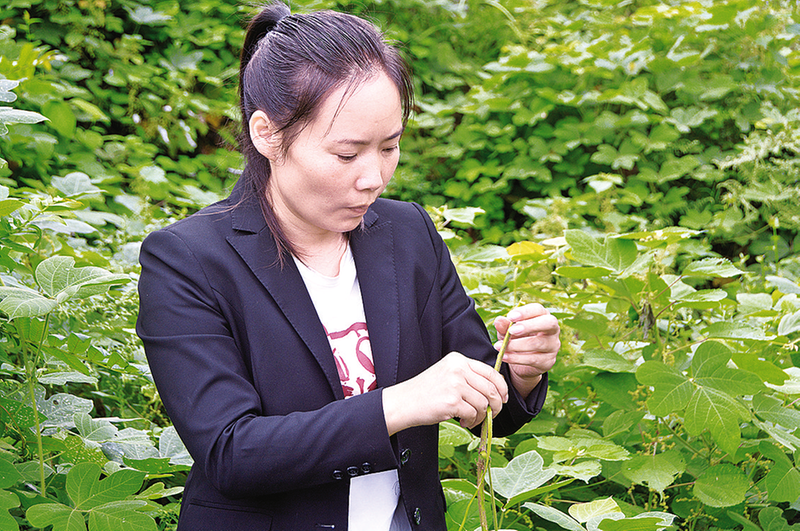 開州：“外來媳婦”返鄉(xiāng)創(chuàng)業(yè)帶領鄉(xiāng)親走上共富路