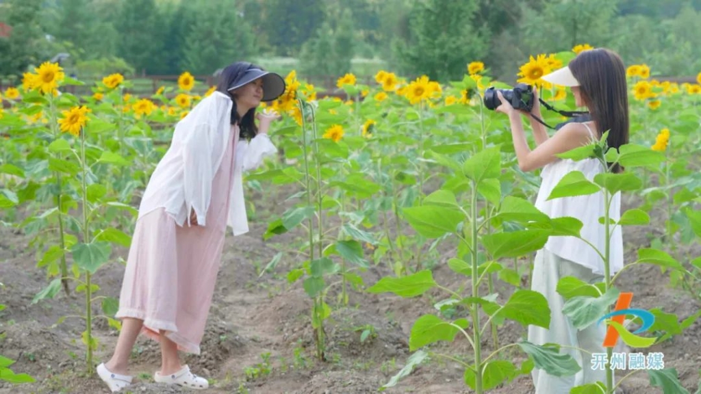 微信圖片_20230812184337