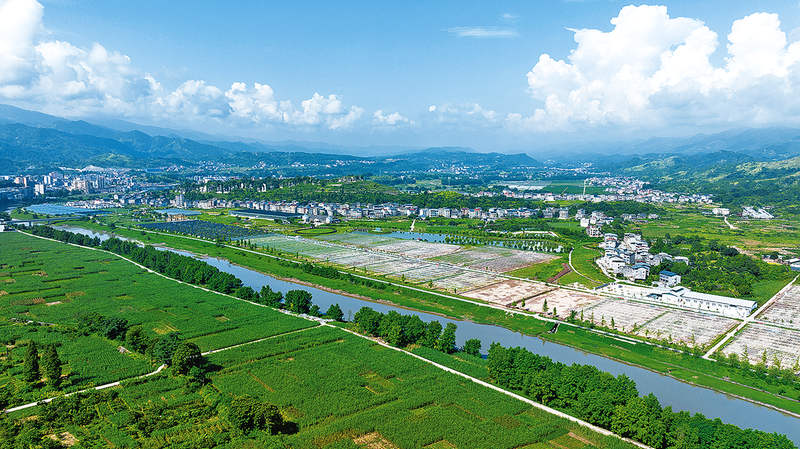 開州：種好壽光菜 “蔬”寫山海情