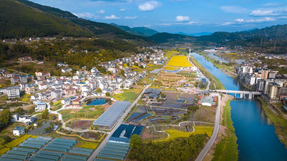 開州：黨建引領聚合力 產業強村富百姓