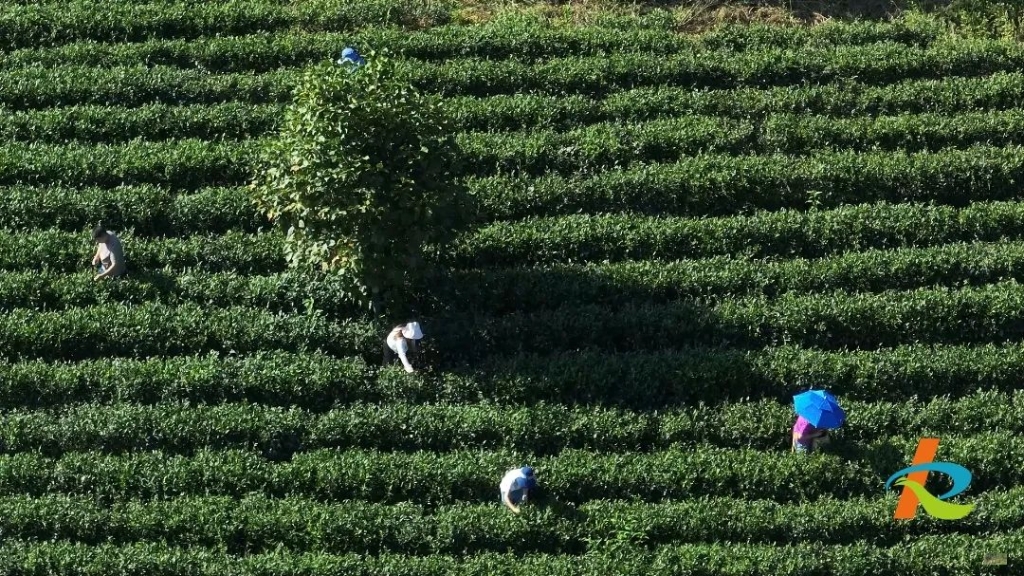 微信圖片_20230909190818_1