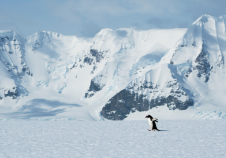 港股開盤丨恒生指數(shù)開盤漲0.39%，恒生科技指數(shù)漲0.25%